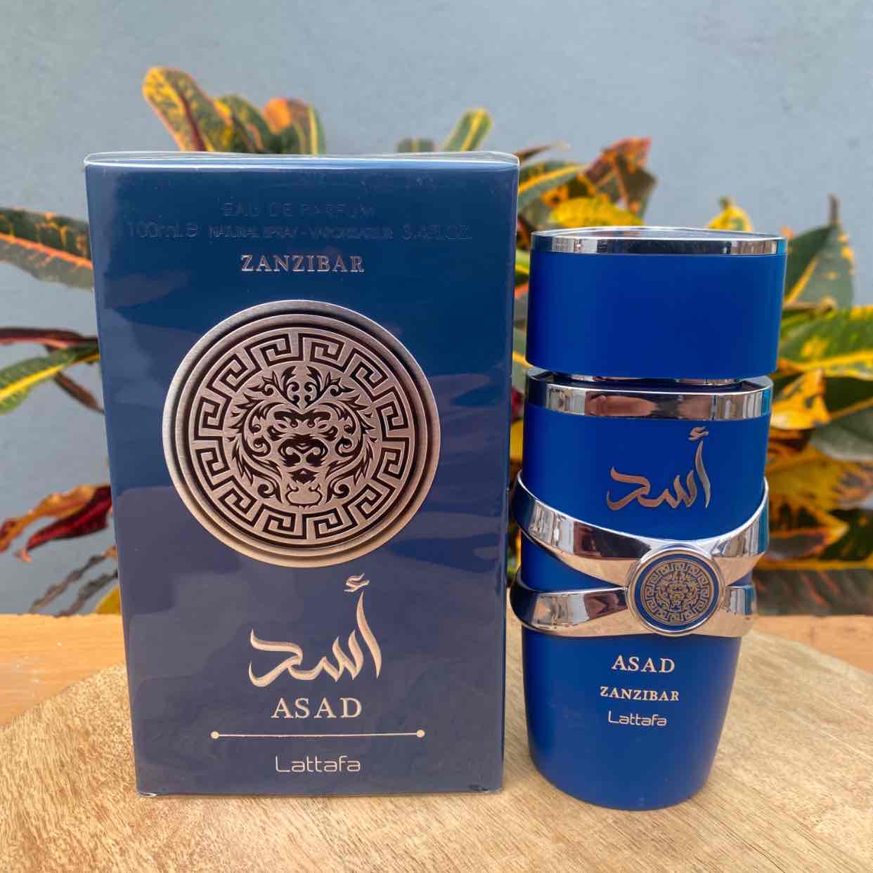 LATTAFFA ASAD ZANZIBAR 100 ML EDP