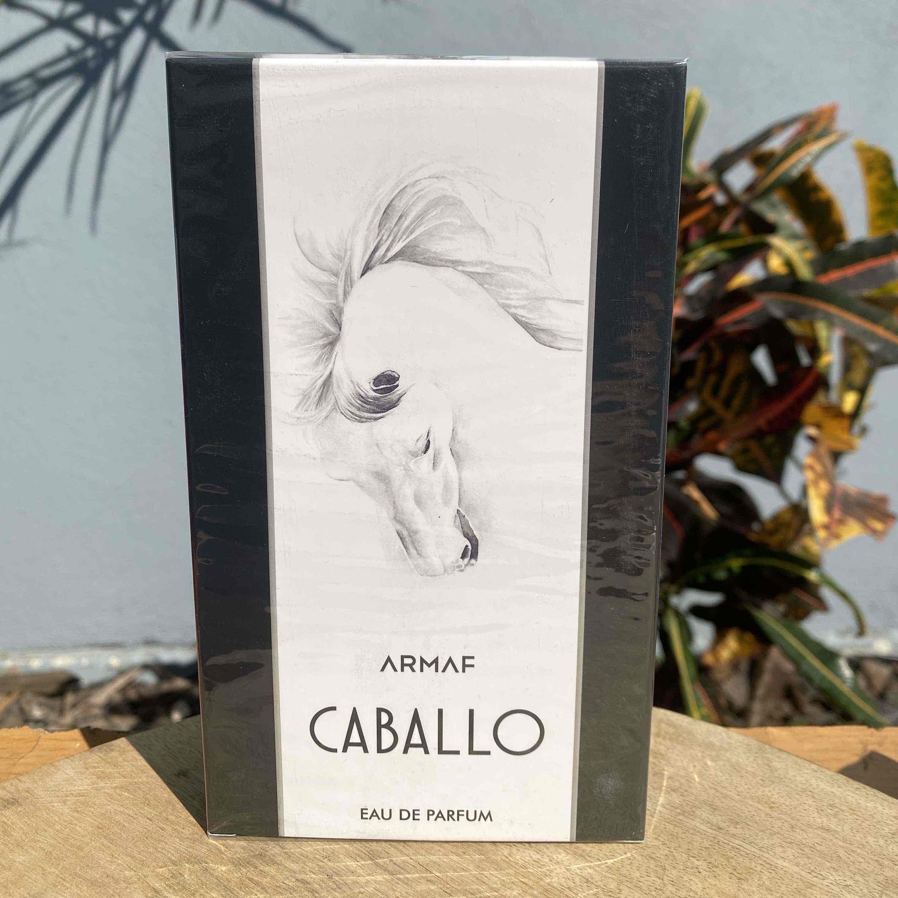 ARMAF CABALLO 100 ML EDP