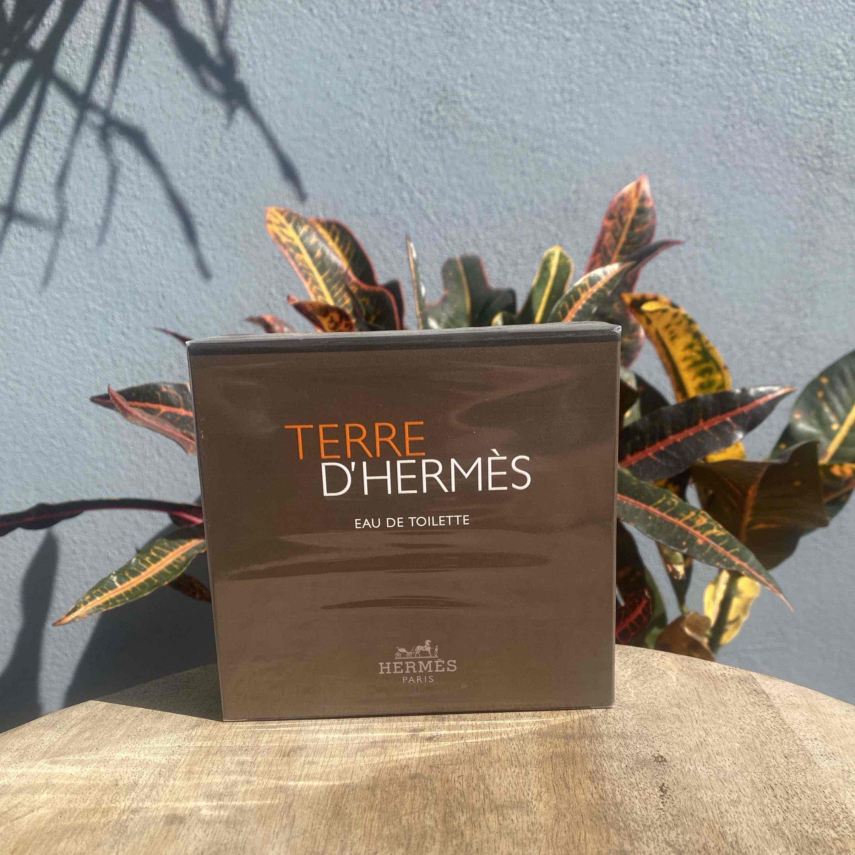 HERMES TERRE D'HERMES 2 X 50ML EDT