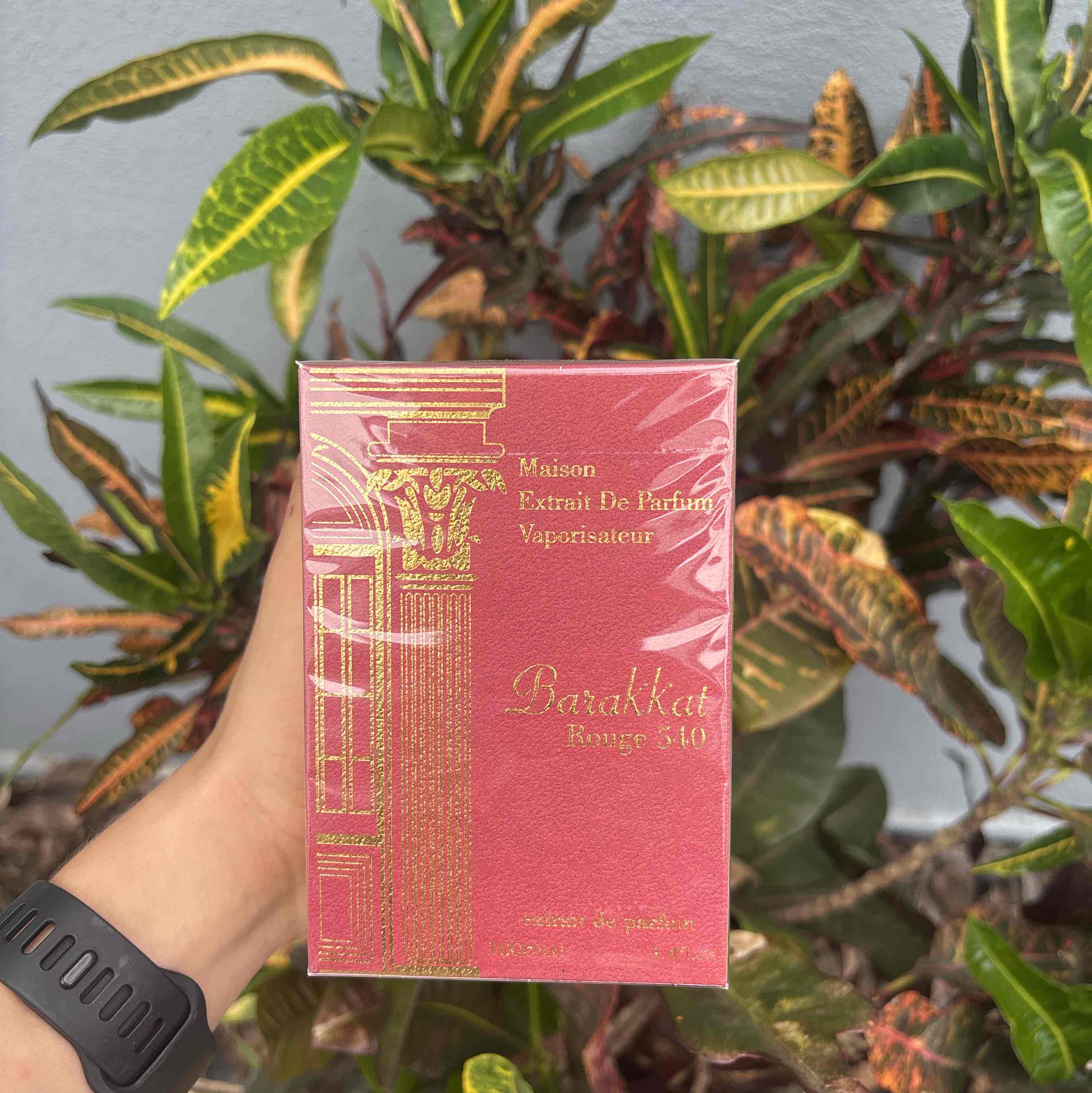 FRAGANCE WORLD BARAKKAT ROUGE 540 100ML EDP