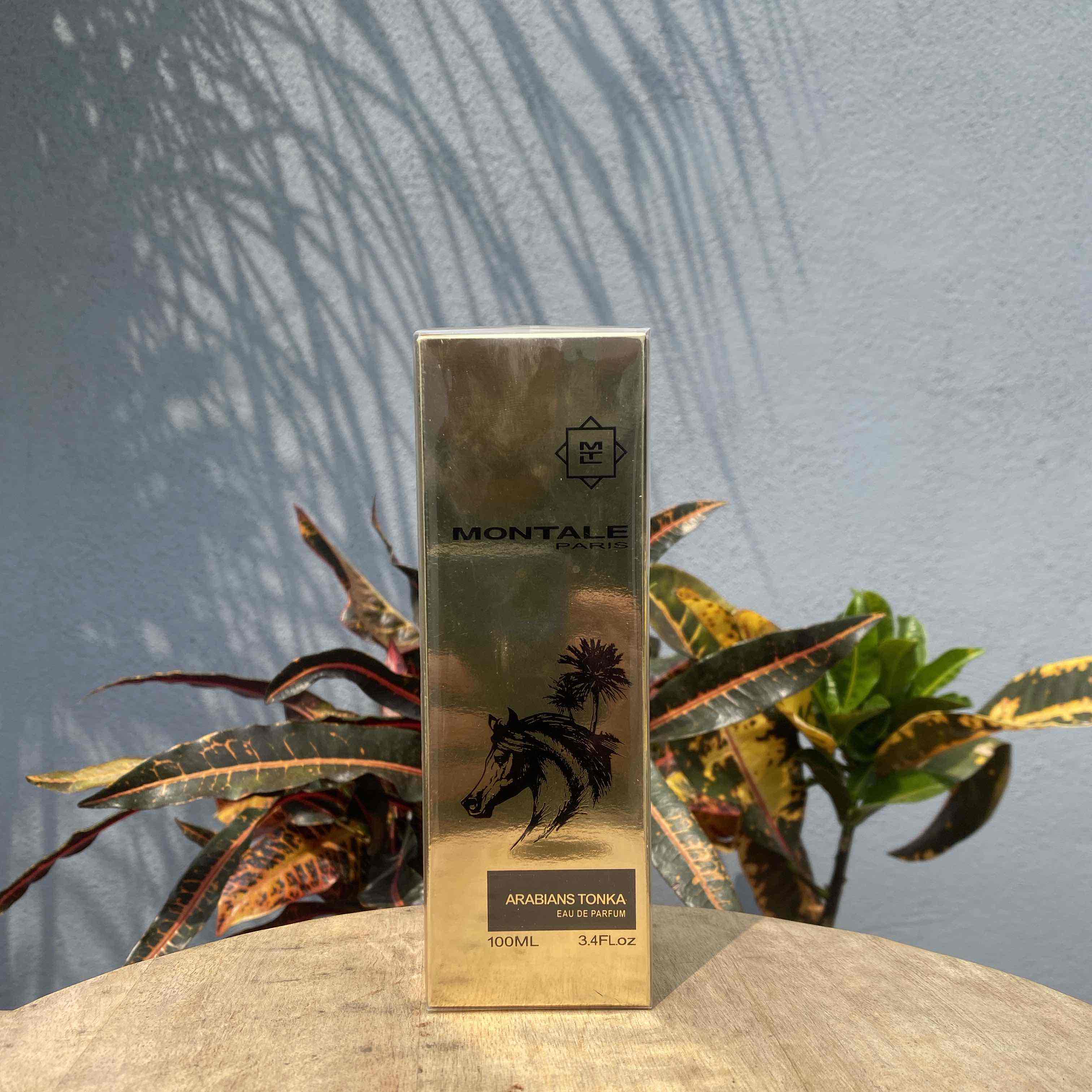 MANCERA MONTALE ARABIAN TONKA 100 ML EDP