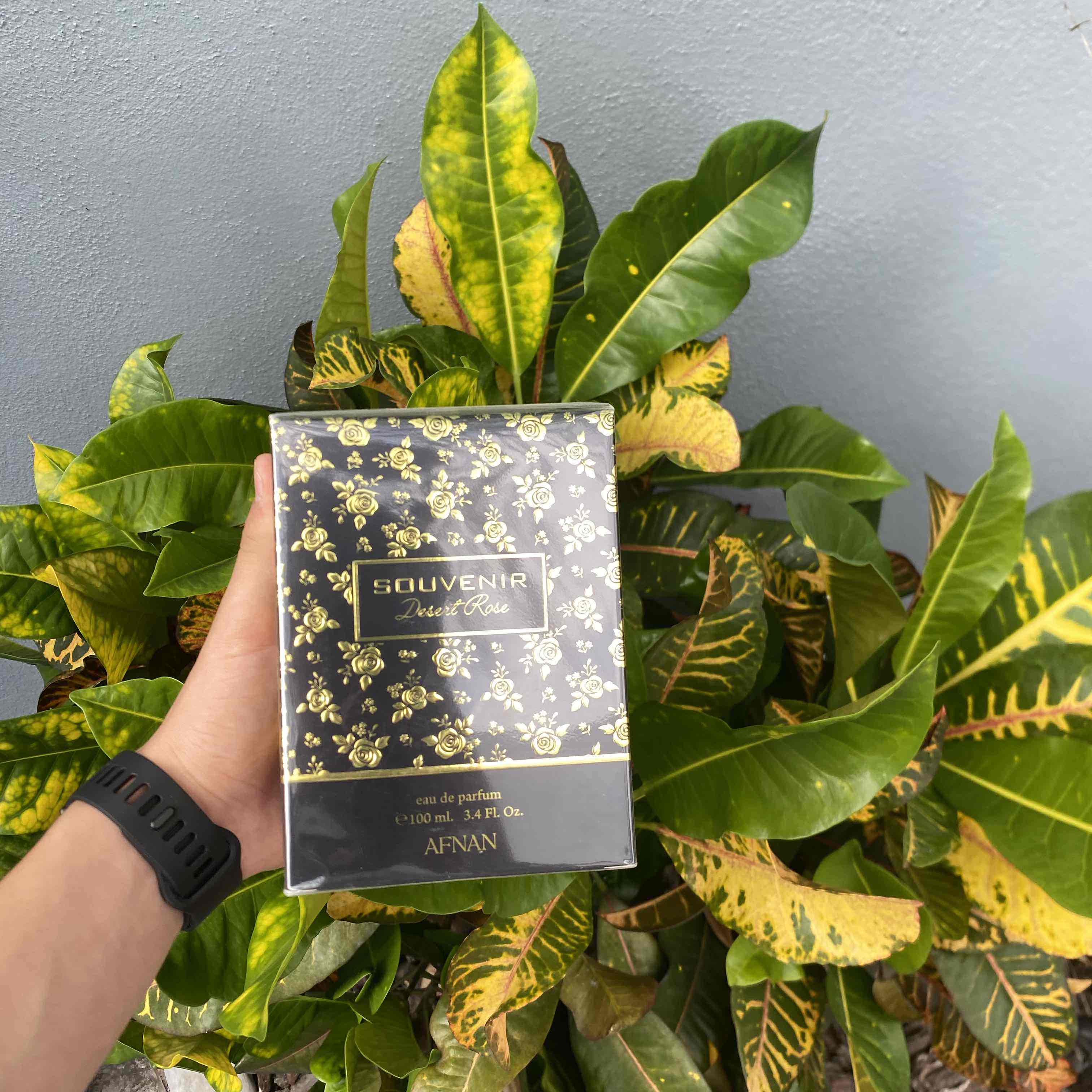 AFNANA SOUVENIR DESERT 100 ML EDP